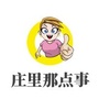庄里那点事ico