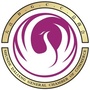 大良总商会ico