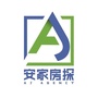 安家房探ico