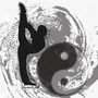 高明太极拳ico