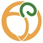佛山教育圈ico