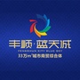 丰顺蓝天城ico