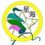 容桂星海幼儿园ico