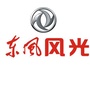 佛山市锐晟汽车贸易有限公司ico