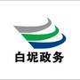 白坭政务ico