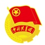 三水团区委ico