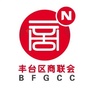 玩转新丰台ico
