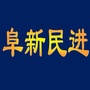 阜新民进ico