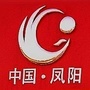 中国凤阳ico