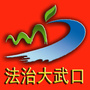 法治大武口ico