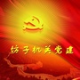 坊子机关党建ico