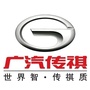 广汽传祺汇源店ico
