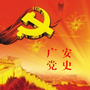 广安党史ico