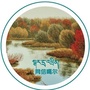 网信噶尔ico