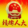 赣榆人大ico