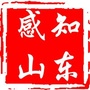 感知山东网公众号ico