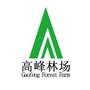 广西国有高峰林场ico