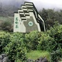 江西省高岭茶有限公司ico