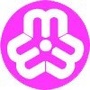高淳妇联ico