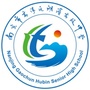 高淳湖滨高中ico