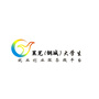 钢城大学生就业ico