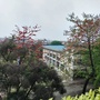 桂城街道夏北小学ico