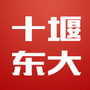 十堰东大肛肠医院ico