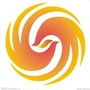 广东凤凰艺术教育公众号ico