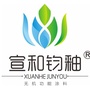 广东宣和ico