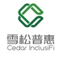 雪松普惠公众号ico
