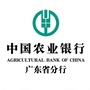 中国农业银行广东分行ico
