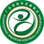 广东省业余足球协会ico