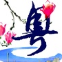 广东发布ico