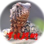 罗坑保护区公众号ico