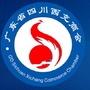 广东省四川西充商会ico
