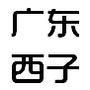 广东西子电梯ico