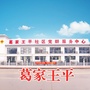 兰山街道葛家王平ico