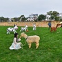 夏阳阳光牧场ico