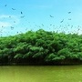 圭峰会城发布ico
