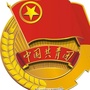 协和街道高峰社区青年ico