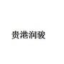 贵港润骏汽车公众号ico