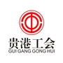 贵港工会ico