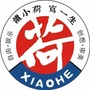 心飞扬小荷作文ico