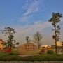 下东村民委员会ico