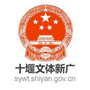 十堰文体新广局公众号ico