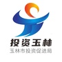 投资玉林ico