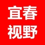 宜春视野ico