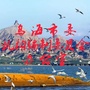 乌海市机构编制ico