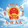 左贡人大ico