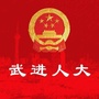 武进人大ico